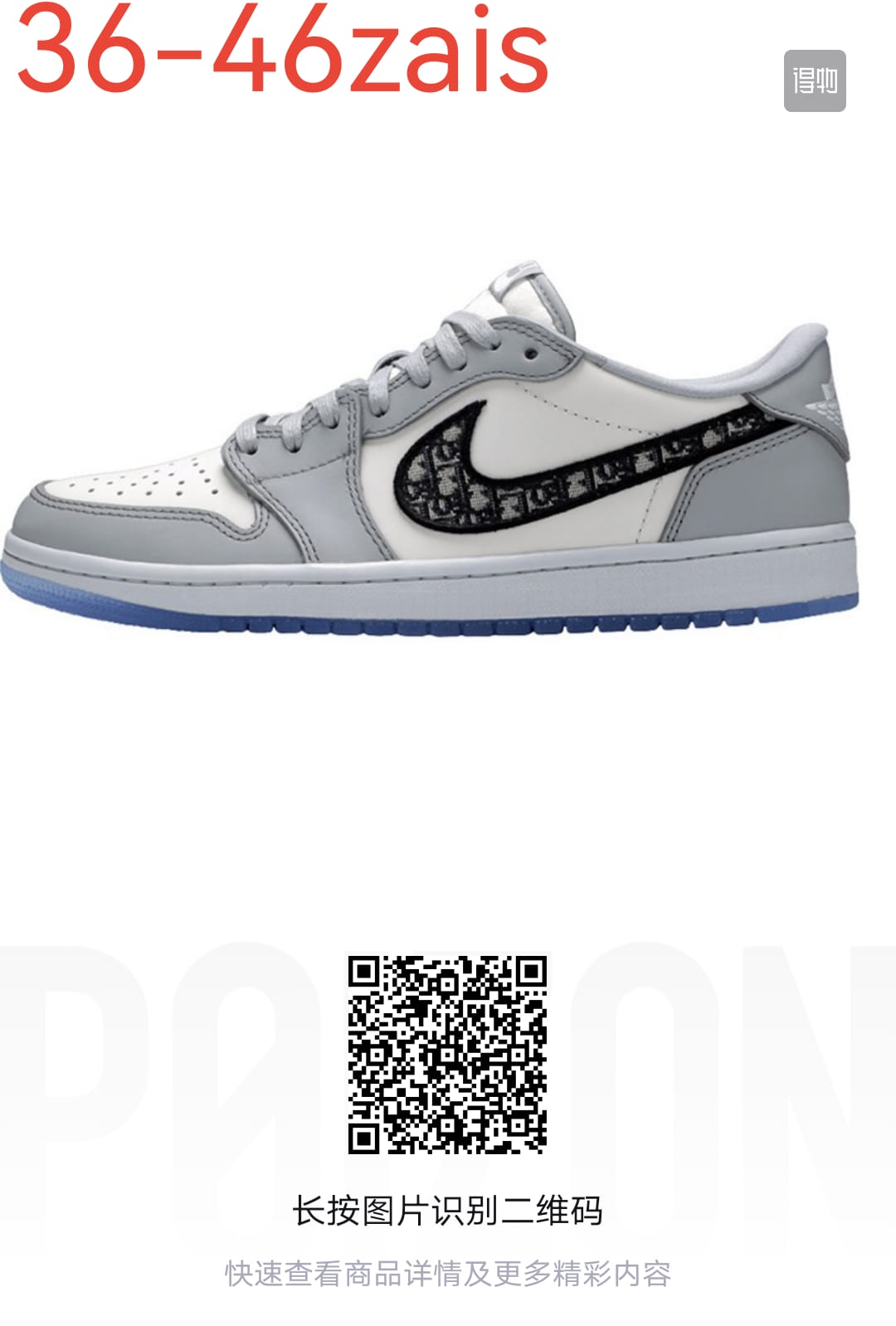 Dior Jordan 1